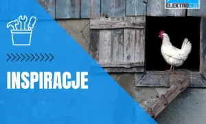 Jak zrobić automatyczne drzwi do kurnika, by ułatwić życie kurkom
