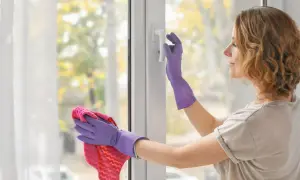 Myjka do okien Nilfisk czy Karcher - która lepsza dla Ciebie?