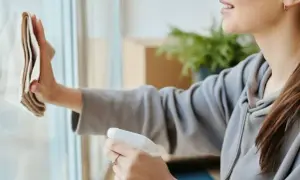 Jak używać Vileda Actifibre do okien? Skuteczne czyszczenie krok po kroku