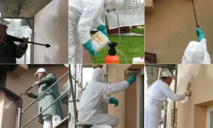 Jak odnowić starą elewację domu: 5 skutecznych metod renowacji