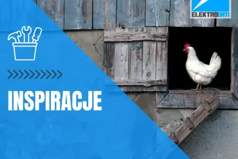 Jak zrobić automatyczne drzwi do kurnika, by ułatwić życie kurkom